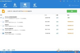 Wise Disk Cleaner v11.3.0.850绿色版（硬盘清理工具）