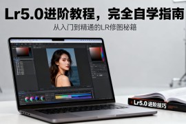 Lr5.0进阶教程，完全自学指南
