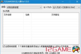 12GAMEBBS注入器Ver1.1.0